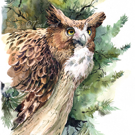 Рыбный филин