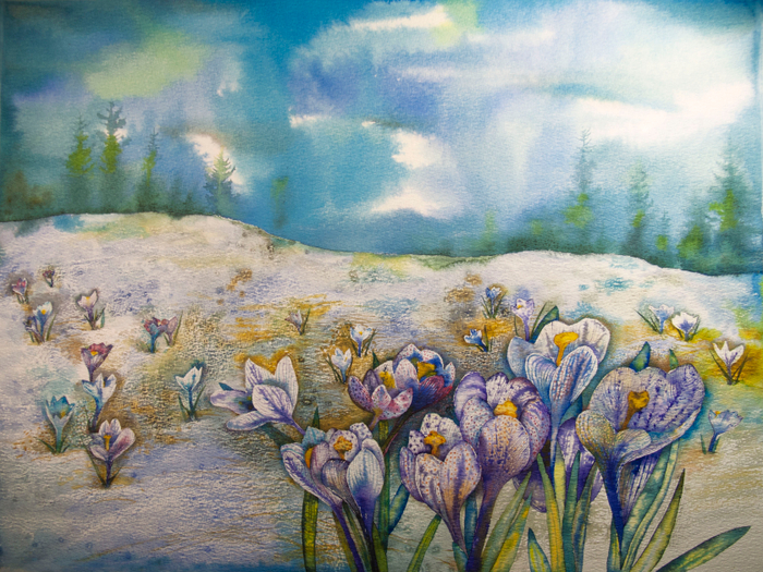 крокусы наступают!)