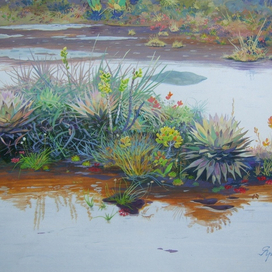 После дождя