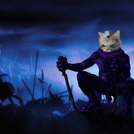 Великий воин-кот