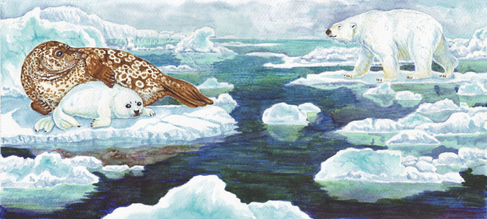 Кольчатая нерпа и белый медведь