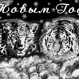 С Новым годом! Леопард и тигр поздравляют .