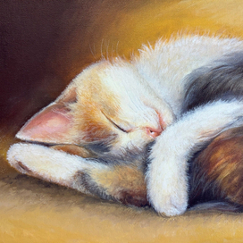 Сладкий сон