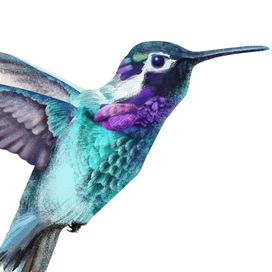 Иллюстрации для энциклопедии 