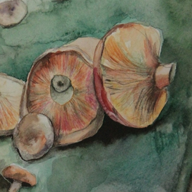 Набрали, так на брали!