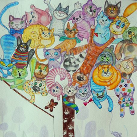 Котодерево