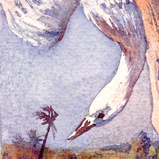 Д. Дэфо "Робинзон Крузо"