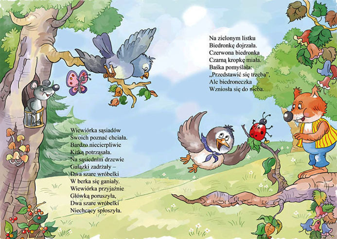 белочка - разворот