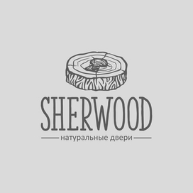 Логотип дверного магазина