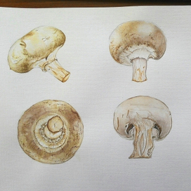 Шампиньоны