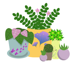 Иллюстрация по курсу Skillbox