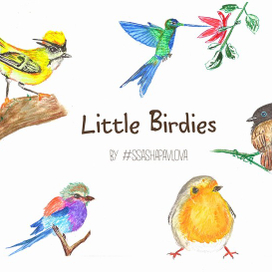 Маленькие птички