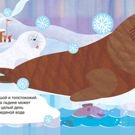 Морж с детенышем