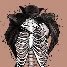 Летучие мыши