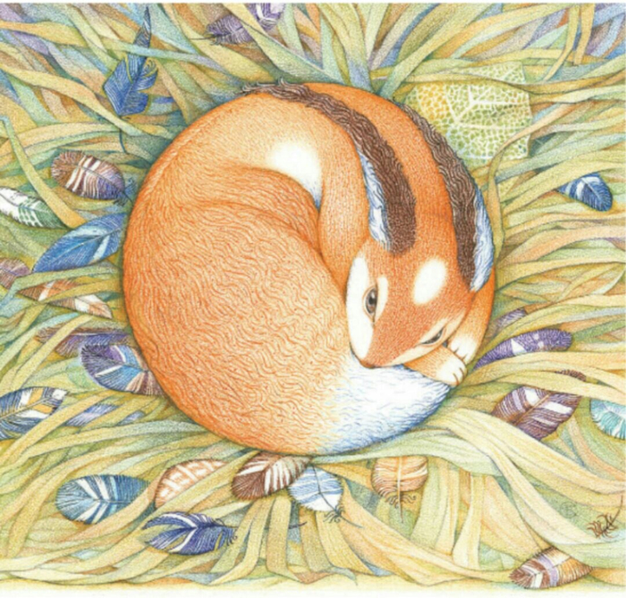 Воспоминания в скворечнике.