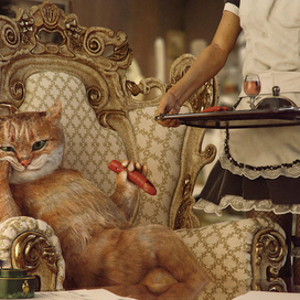 Кот- аристократ.