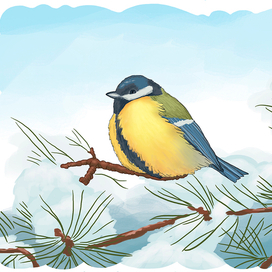 Синичка сидит на веточке