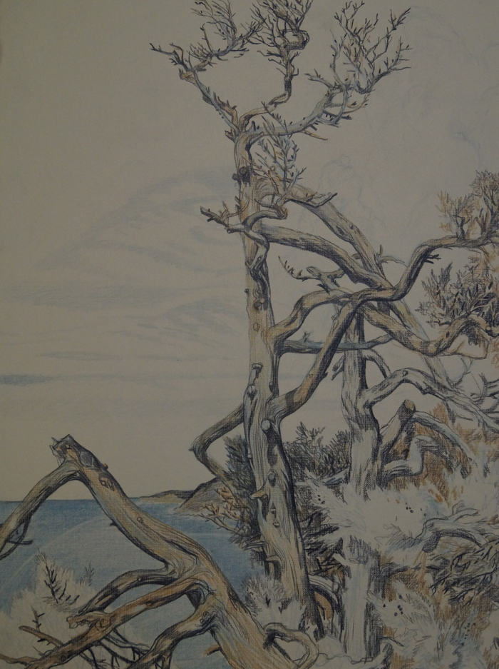 Иллюстрация книги В. Бахревского_Почему луна улыбается