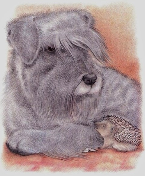 Собачка,давай поиграем!