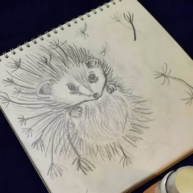 Ёжик-одуванчик