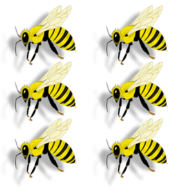 Beez