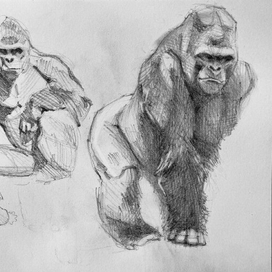 анималистика 