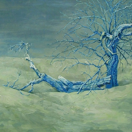 корабль пустыни