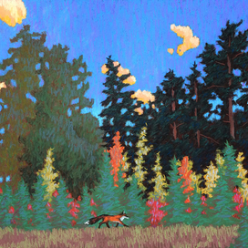 На лесной опушке