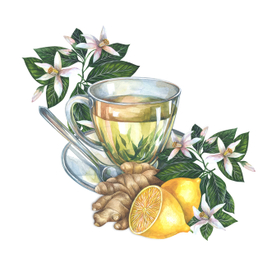 Имбирь и лимон