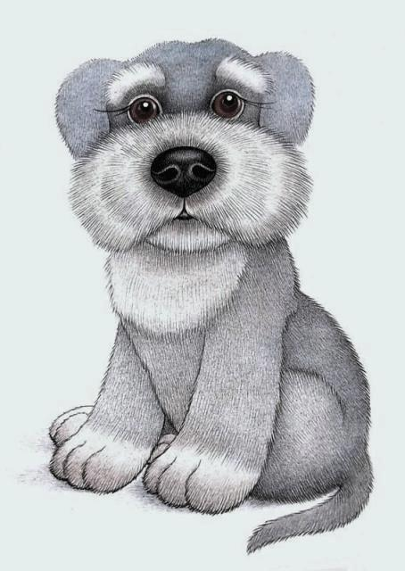 щенок шнауцера