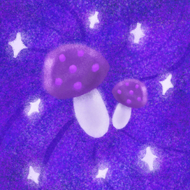 Cosmo mushrooms