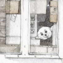 "Эти глаза напротив"