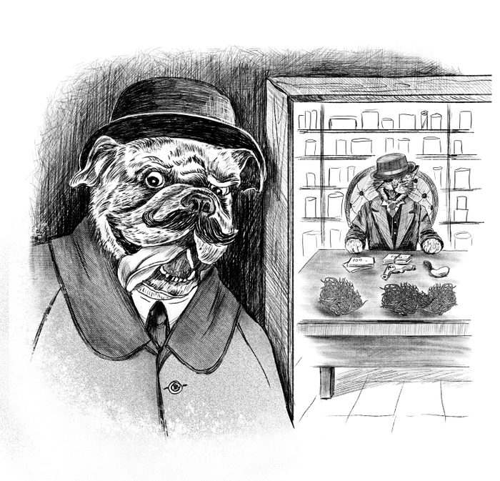 Иллюстрация к книге "Истории со счастливым хвостом"