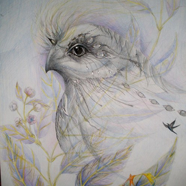 Безымянный