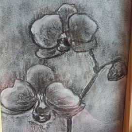 Ветка орхидеи. Рисунок углем