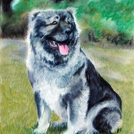 Кавказская овчарка