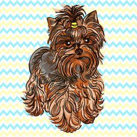 Иллюстрация собаки породы Йоркширский терьер