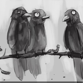 Birds
