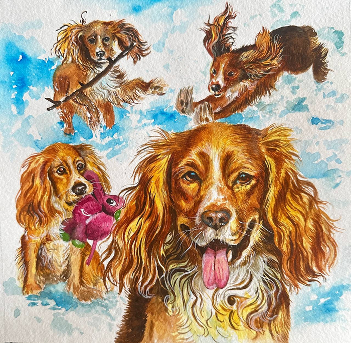 Старый друг Найк 