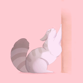 Кошка 1. Алиса