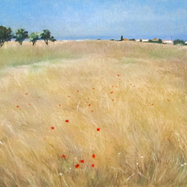 Крымское поле