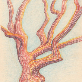 Старое дерево