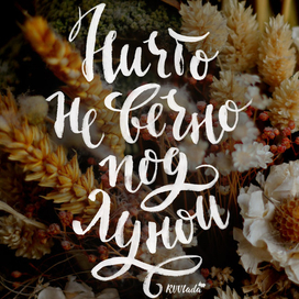 Ничто не вечно под луной