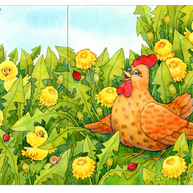 Где цыплята?