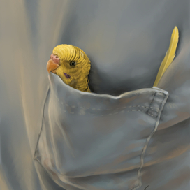 "Солнышко в кармашке"