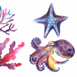 Подводный мир