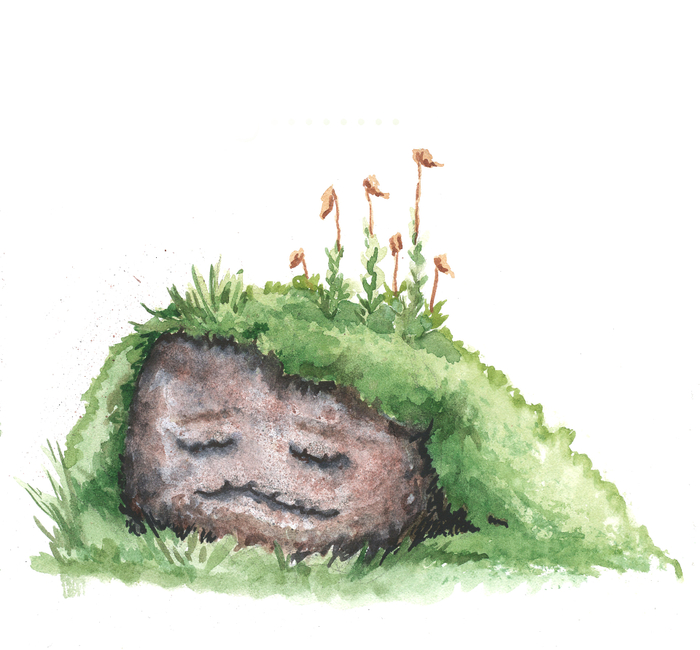 сонный камень