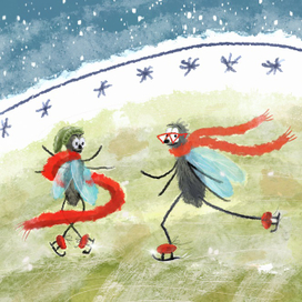 Мухи на коньках, катаются по остывшему супу