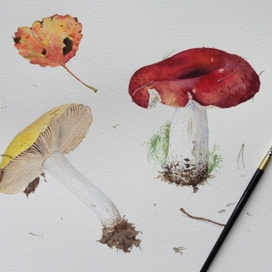 иллюстрация к книге