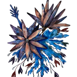 Леукадендроны и кораллы